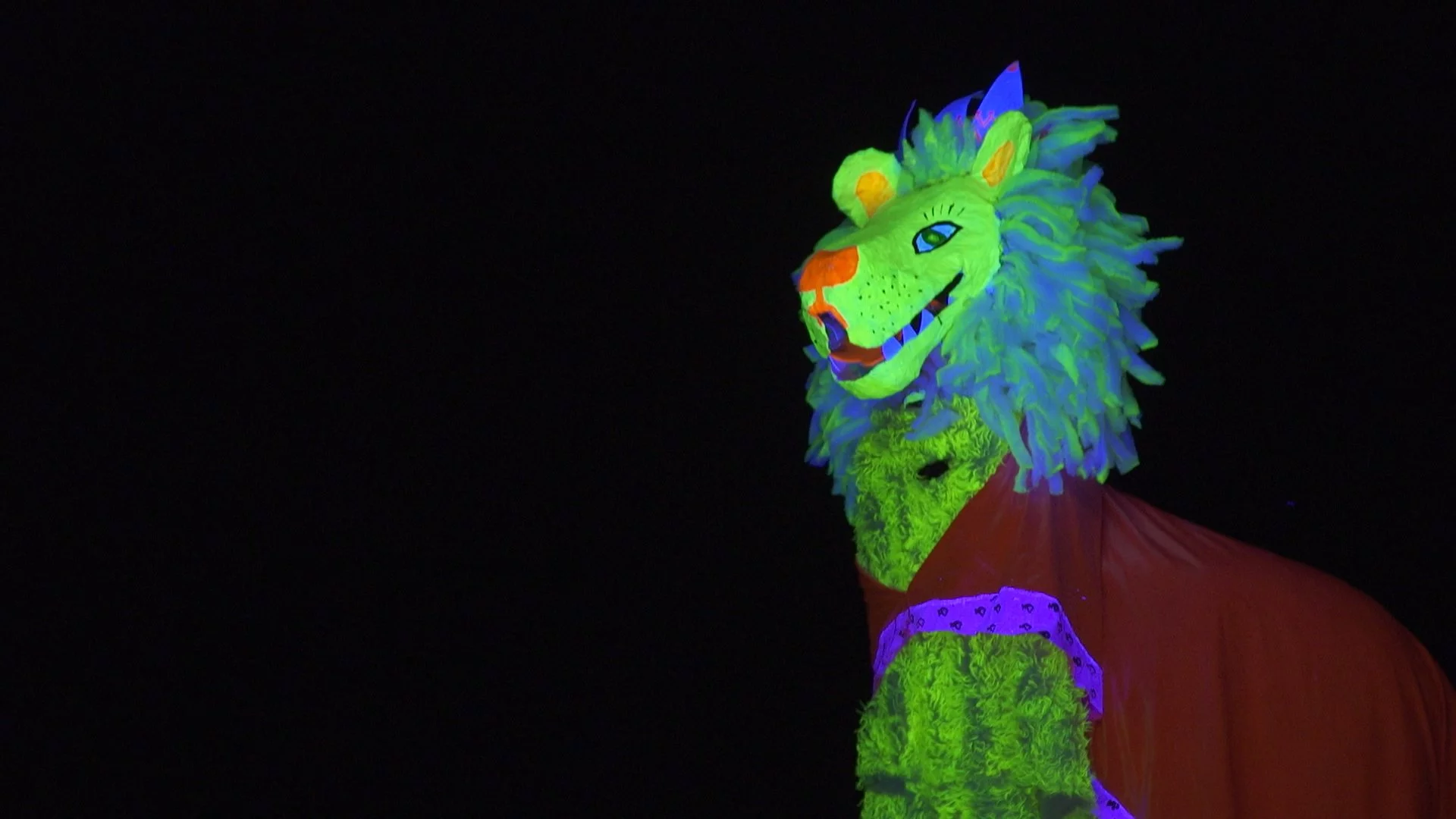 Making of «Le Carnaval des animaux»